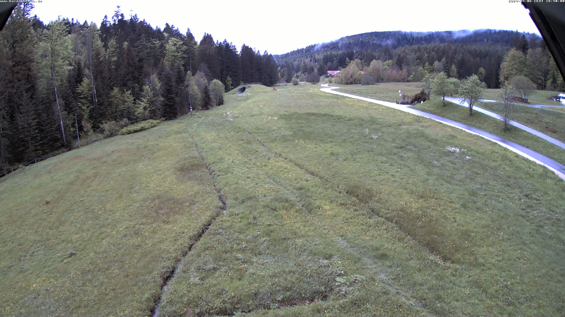 Obertal-Buhlbach - Loipe