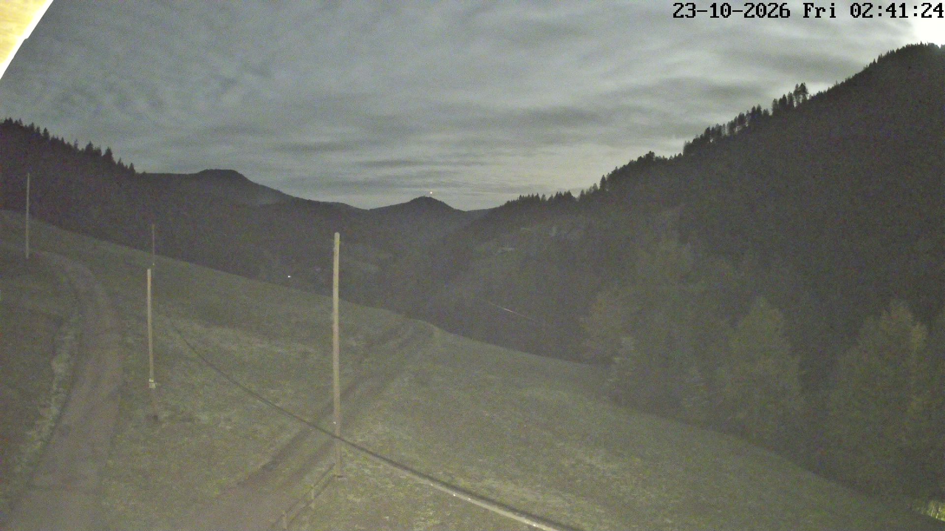 Webcam Herbstwasen